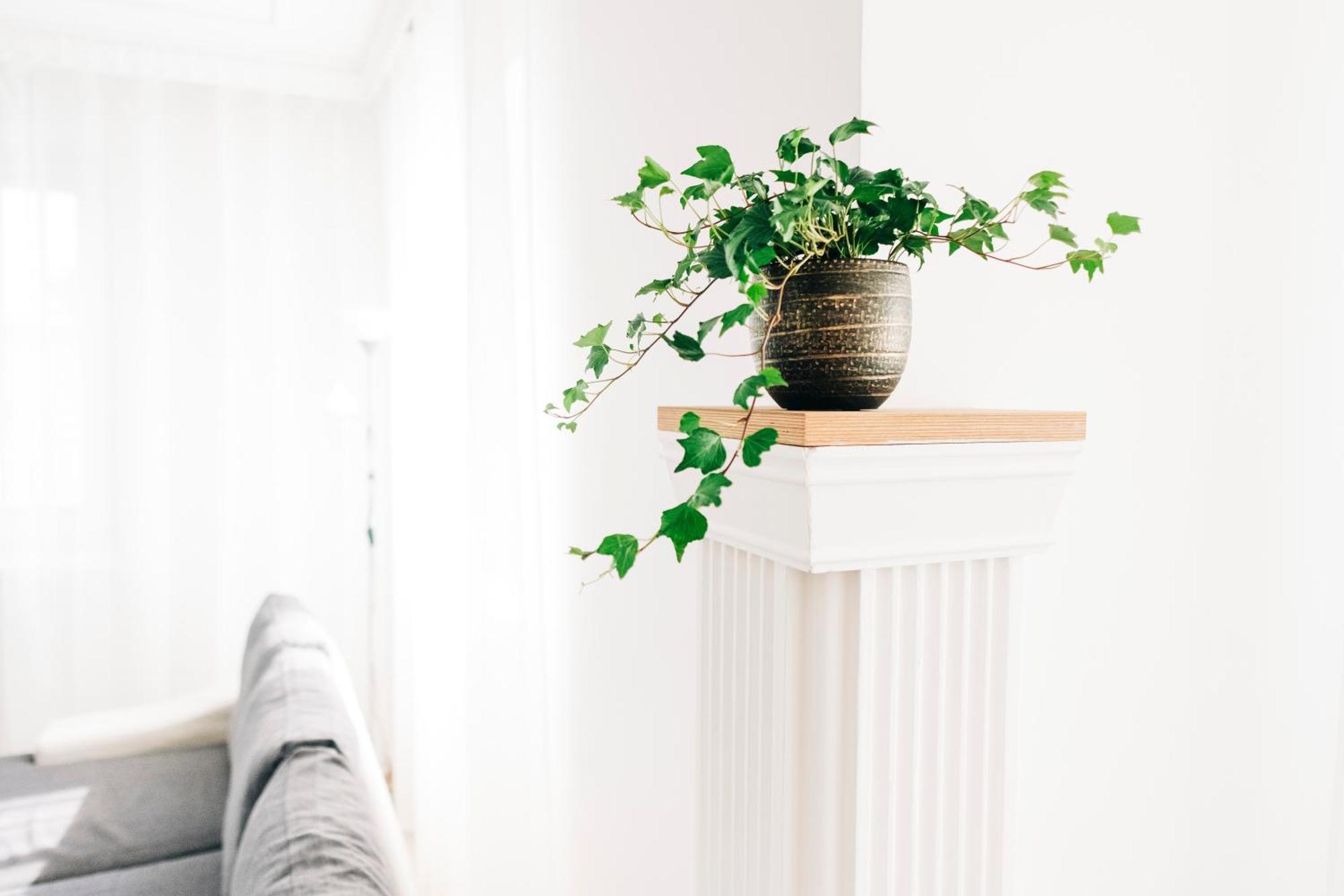 Castle Village Apartment Krásnohorské Podhradie エクステリア 写真